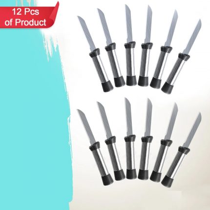 https://bulkmart.shop/wp-content/uploads/2023/02/Pack-of-12-Pcs-Cutting-Knife-Stainless-Steel-With-Silver-Handle-2028-BULKMART-01-430x430.jpg