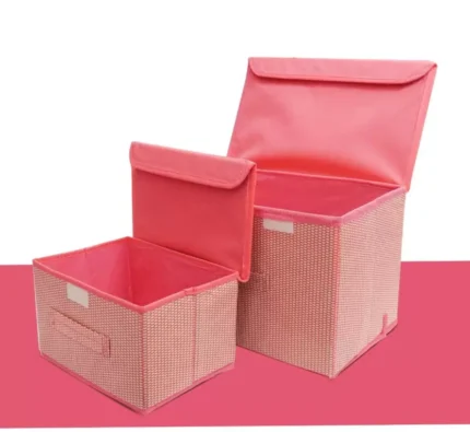 2 Pcs Non-Woven Clothes Organizer and Storage Box For Clothes, Toys, Books, Foldable with Lid - 1703- BULKMART-4